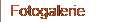 Fotogalerie